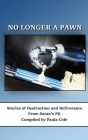 No Longer a Pawn By Paula Cole Cover Image