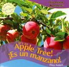 It's an Apple Tree! / ¡Es Un Manzano! By Elisa Peters Cover Image