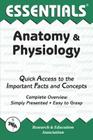 Anatomy and Physiology Essentials (Essentials Study Guides) By Jay M. Templin Cover Image