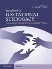 Handbook of Gestational Surrogacy: International Clinical Practice and Policy Issues Cover Image