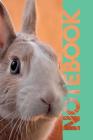 Notebook: Rabbit Hutch Chic Composition Book for Notes on Bunnies for Sale Near Me By Molly Elodie Rose Cover Image