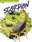 Scorpion By Rachel Hamby Cover Image