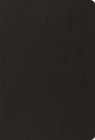 Psalms-ESV By Crossway Bibles (Manufactured by) Cover Image