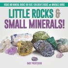 Little Rocks & Small Minerals! Rocks And Mineral Books for Kids Children's Rocks & Minerals Books By Baby Professor Cover Image