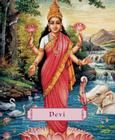 Devi: The Divine Goddess By James H. Bae Cover Image