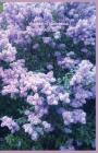 Your Mini Notebook! Vol. 56: The lovely glow of lilacs in bloom Cover Image