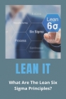 Lean IT: What Are The Lean Six Sigma Principles?: It Lean Back Cover Image