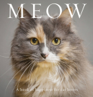 Meow: A Book of Happiness for Cat Lovers (Animal Happiness) By Anouska Jones Cover Image