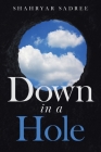 Down in a Hole By Shahryar Sadree Cover Image