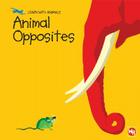 Animal Opposites (Learn with Animals) By Sebastiano Ranchetti Cover Image