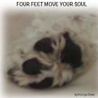 Four Feet Move Your Soul By Kristi Lynn Domke Cover Image