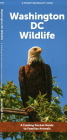 Washington DC Wildlife: A Folding Pocket Guide to Familiar Animals By Waterford Press Cover Image