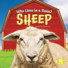 Sheep By Kerri Mazzarella Cover Image