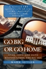 Go Big or Go Home: Spies, Cops, and Oath Keepers Under the Big Sky By Mark Seyler Cover Image