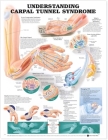 Understanding Carpal Tunnel Syndrome Anatomical Chart Cover Image