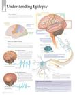 Understanding Epilepsy Chart: Laminated Wall Chart Cover Image