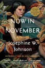 Now in November: A Novel Cover Image