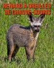 Renard à Oreilles de Chauve-Souris: Informations Etonnantes & Images By Pam Louise Cover Image