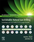 Sustainable Natural Gas Drilling: Technologies and Case Studies for the Energy Transition Cover Image