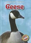 Geese (Backyard Wildlife) Cover Image