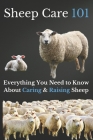 Sheep Care 101: Everything You Need to Know About Caring and Raising Sheep Cover Image