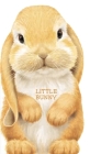 Little Bunny (Look at Me Books) By Laura Rigo (Illustrator), Giovanni Caviezel Cover Image