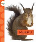 Squirrels (Spot) Cover Image