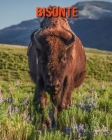 Bisonte: Immagini bellissime e fatti interessanti Libro per bambini sui Bisonte Cover Image