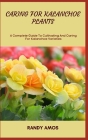 Caring for Kalanchoe Plants: A Complete Guide To Cultivating And Caring For Kalanchoe Varieties Cover Image