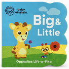 Big and Little (Baby Einstein) Cover Image