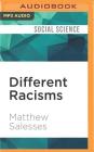 Different Racisms: On Stereotypes, the Individual, and Asian American Masculinity By Matthew Salesses, Vince Canlas (Read by) Cover Image