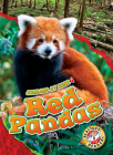 Red Pandas (Animals at Risk) By Rachel Grack Cover Image