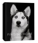 Finding Home: 12 Notecards & Envelopes By Traer Scott (By (photographer)) Cover Image