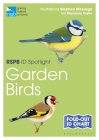 RSPB ID Spotlight – Garden Birds By Marianne Taylor, Stephen Message (Illustrator) Cover Image