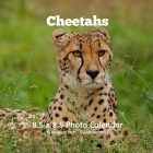 Cheetahs 8.5 X 8.5 Calendar September 2021 -December 2022: Monthly Calendar with U.S./UK/ Canadian/Christian/Jewish/Muslim Holidays Big Cats Animals N Cover Image