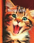Regards curieux des Chatons Câlins: Album photo en couleur avec de magnifiques chatons. By Hayden Clayderson Cover Image