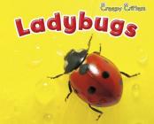 Ladybugs (Creepy Critters) By Sian Smith Cover Image