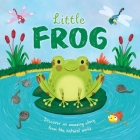 Nature Stories: Little Frog-Discover an Amazing Story from the Natural World: Padded Board Book By IglooBooks, Gisela Bohórquez (Illustrator) Cover Image