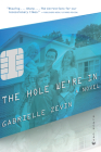 The Hole We're in By Gabrielle Zevin Cover Image