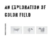 An Exploration In Color Field By Megan Delzell Cover Image