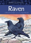 Animals Illustrated: Raven By Monica Ittusardjuat, Kagan McLeod (Illustrator) Cover Image