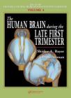 The Human Brain During the Late First Trimester (Atlas of Human Central Nervous System Development #4) Cover Image