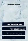 The Brilliance of the Color Black Through the Eyes of Art Collectors By Charles Moore, Storm Ascher (Foreword by) Cover Image