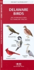 North Dakota Birds: A Folding Pocket Guide to Familiar Species (Pocket Naturalist Guide) By James Kavanagh, Waterford Press, Raymond Leung (Illustrator) Cover Image
