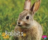 Rabbits (Woodland Wildlife) By G. G. Lake Cover Image