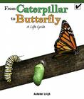 From Caterpillar to Butterfly: A Life Cycle (Real Life Readers) By Autumn Leigh Cover Image