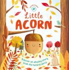 Little Acorn Cover Image