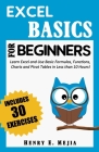 Excel Basics for Beginners: Learn Excel and Use Basic Formulas, Functions, Charts and Pivot Tables in Less Than 10 Hours! Cover Image