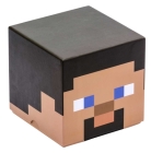 Minecraft: Steve Block Stationery Set (Gaming) Cover Image