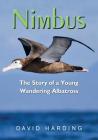 Nimbus: The Story of a Young Wandering Albatross By David Harding Cover Image